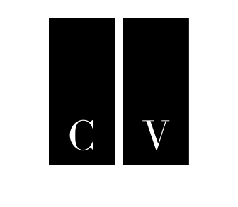 CREATIVE VISUALIZATION